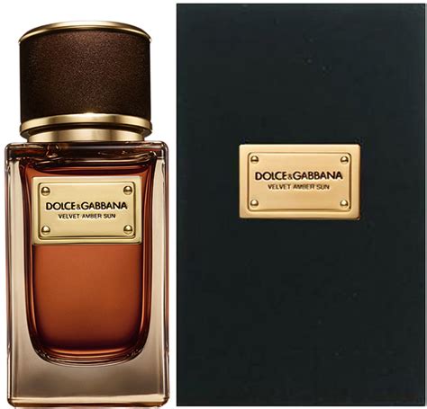 dolce gabbana velvet amber sun 50ml|dolce and gabbana velvet.